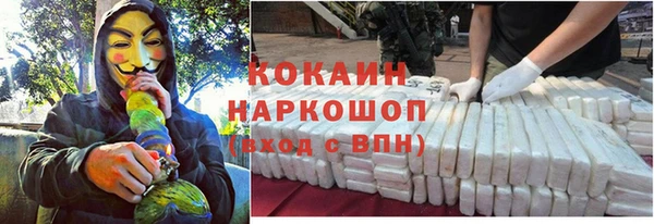 дживик Абинск