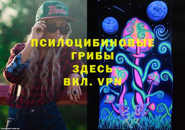скорость Абаза