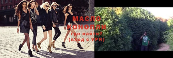 дживик Абинск
