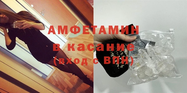 шишки Кодинск